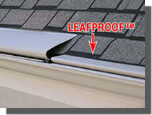 LeafProof Gutter Protection 